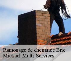 Ramonage de cheminée  brie-02870 Mickael Multi-Services