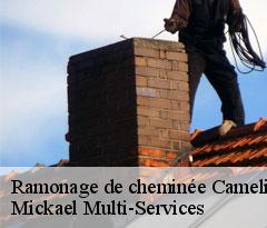 Ramonage de cheminée  camelin-02300 Mickael Multi-Services