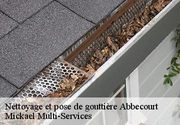 Nettoyage et pose de gouttière  abbecourt-02300 Mickael Multi-Services