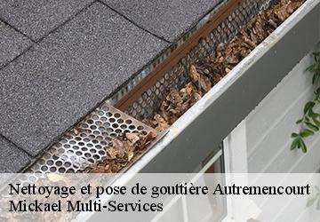 Nettoyage et pose de gouttière  autremencourt-02250 Mickael Multi-Services