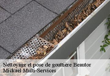 Nettoyage et pose de gouttière  beautor-02800 Mickael Multi-Services