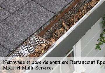 Nettoyage et pose de gouttière  bertaucourt-epourdon-02800 Mickael Multi-Services