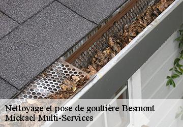 Nettoyage et pose de gouttière  besmont-02500 Mickael Multi-Services