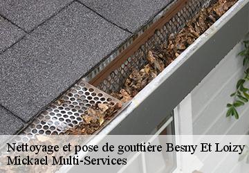 Nettoyage et pose de gouttière  besny-et-loizy-02870 Mickael Multi-Services