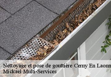 Nettoyage et pose de gouttière  cerny-en-laonnois-02860 Mickael Multi-Services