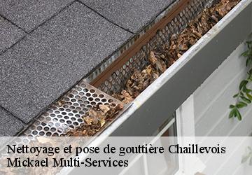 Nettoyage et pose de gouttière  chaillevois-02000 Mickael Multi-Services