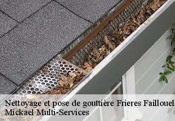 Nettoyage et pose de gouttière  frieres-faillouel-02700 Mickael Multi-Services