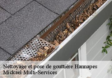 Nettoyage et pose de gouttière  hannapes-02510 Mickael Multi-Services