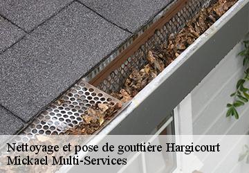 Nettoyage et pose de gouttière  hargicourt-02420 Mickael Multi-Services