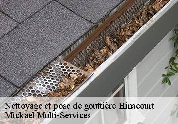 Nettoyage et pose de gouttière  hinacourt-02440 Mickael Multi-Services