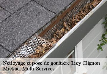 Nettoyage et pose de gouttière  licy-clignon-02810 Mickael Multi-Services