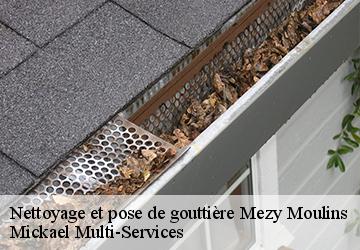 Nettoyage et pose de gouttière  mezy-moulins-02650 Mickael Multi-Services