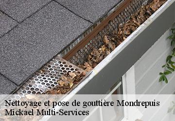 Nettoyage et pose de gouttière  mondrepuis-02500 Mickael Multi-Services