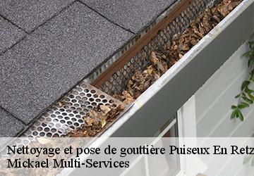 Nettoyage et pose de gouttière  puiseux-en-retz-02600 Mickael Multi-Services