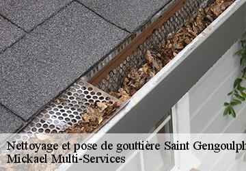 Nettoyage et pose de gouttière  saint-gengoulph-02810 Mickael Multi-Services