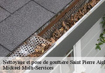 Nettoyage et pose de gouttière  saint-pierre-aigle-02600 Mickael Multi-Services