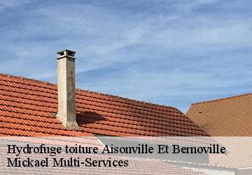 Hydrofuge toiture  aisonville-et-bernoville-02110 Mickael Multi-Services