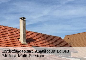 Hydrofuge toiture  anguilcourt-le-sart-02800 Mickael Multi-Services