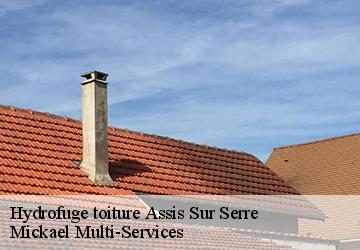 Hydrofuge toiture  assis-sur-serre-02270 Mickael Multi-Services