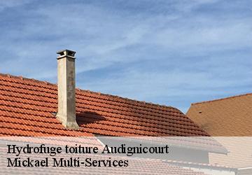 Hydrofuge toiture  audignicourt-02300 Mickael Multi-Services