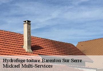 Hydrofuge toiture  barenton-sur-serre-02270 Mickael Multi-Services