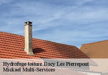 Hydrofuge toiture  bucy-les-pierrepont-02350 Mickael Multi-Services