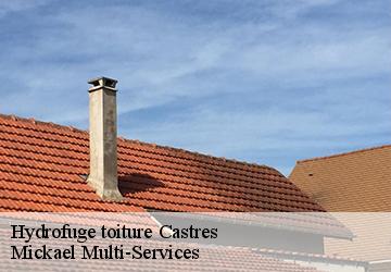 Hydrofuge toiture  castres-02680 Mickael Multi-Services