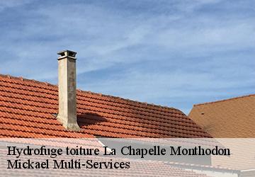 Hydrofuge toiture  la-chapelle-monthodon-02330 Mickael Multi-Services