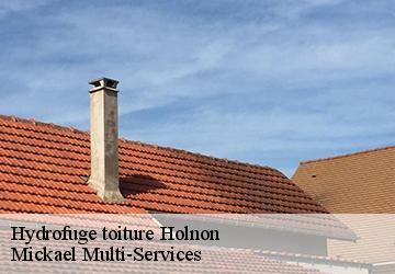 Hydrofuge toiture  holnon-02760 Mickael Multi-Services