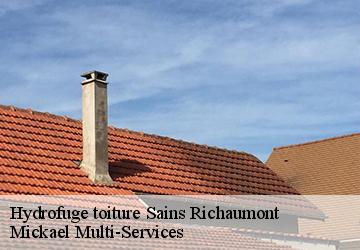 Hydrofuge toiture  sains-richaumont-02120 Mickael Multi-Services