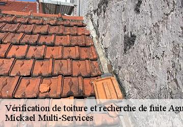 Vérification de toiture et recherche de fuite  aguilcourt-02190 Mickael Multi-Services