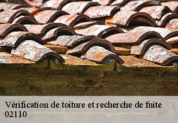 Vérification de toiture et recherche de fuite  02110