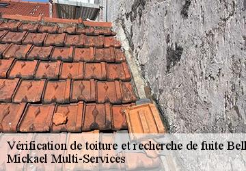 Vérification de toiture et recherche de fuite  belleau-02400 Mickael Multi-Services