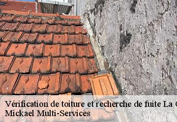 Vérification de toiture et recherche de fuite  la-capelle-02260 Mickael Multi-Services