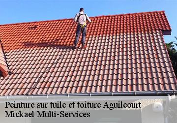 Peinture sur tuile et toiture  aguilcourt-02190 Mickael Multi-Services