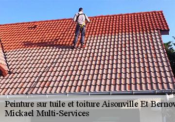 Peinture sur tuile et toiture  aisonville-et-bernoville-02110 Mickael Multi-Services