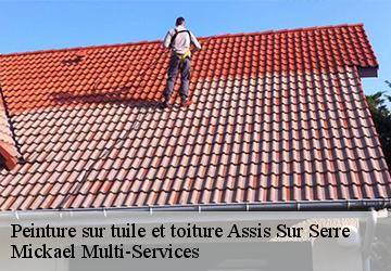 Peinture sur tuile et toiture  assis-sur-serre-02270 Mickael Multi-Services