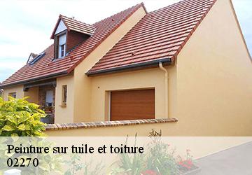 Peinture sur tuile et toiture  02270