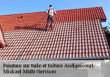 Peinture sur tuile et toiture  audignicourt-02300 Mickael Multi-Services