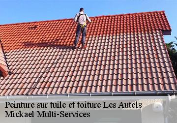 Peinture sur tuile et toiture  les-autels-02360 Mickael Multi-Services