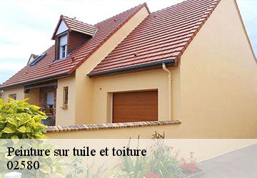 Peinture sur tuile et toiture  02580