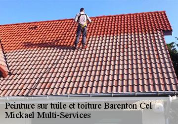 Peinture sur tuile et toiture  barenton-cel-02000 Mickael Multi-Services