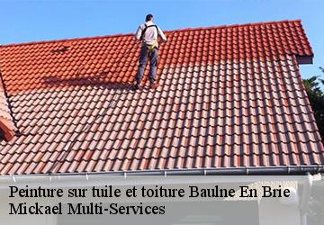 Peinture sur tuile et toiture  baulne-en-brie-02330 Mickael Multi-Services