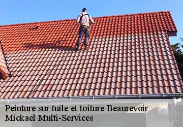 Peinture sur tuile et toiture  beaurevoir-02110 Mickael Multi-Services