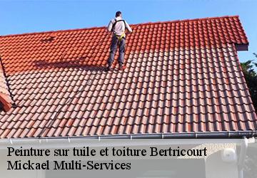 Peinture sur tuile et toiture  bertricourt-02190 Mickael Multi-Services