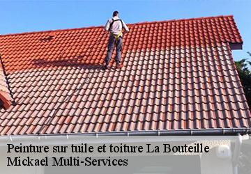 Peinture sur tuile et toiture  la-bouteille-02140 Mickael Multi-Services