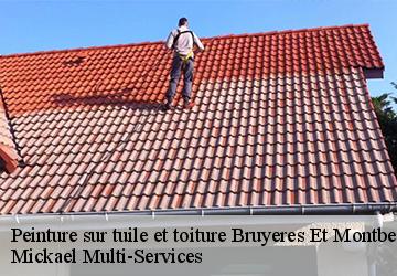 Peinture sur tuile et toiture  bruyeres-et-montberault-02860 Mickael Multi-Services