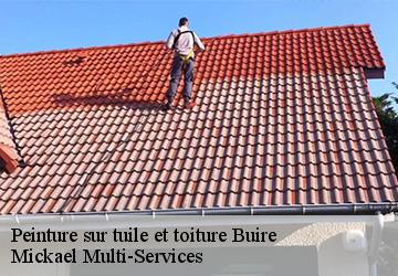 Peinture sur tuile et toiture  buire-02500 Mickael Multi-Services