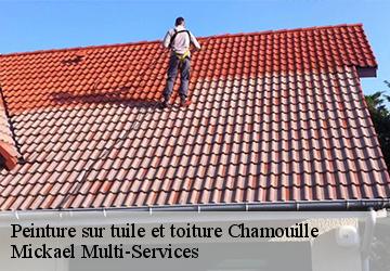 Peinture sur tuile et toiture  chamouille-02860 Mickael Multi-Services