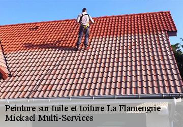 Peinture sur tuile et toiture  la-flamengrie-02260 Mickael Multi-Services